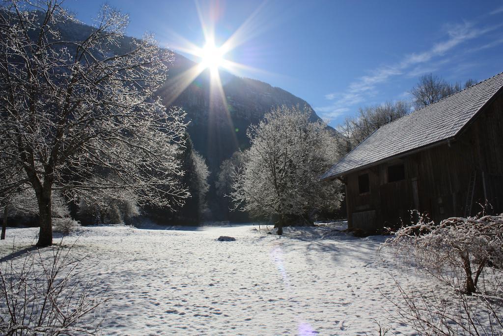 La Clairiere Du Moulin Bed & Breakfast Lepin-le-Lac Eksteriør bilde